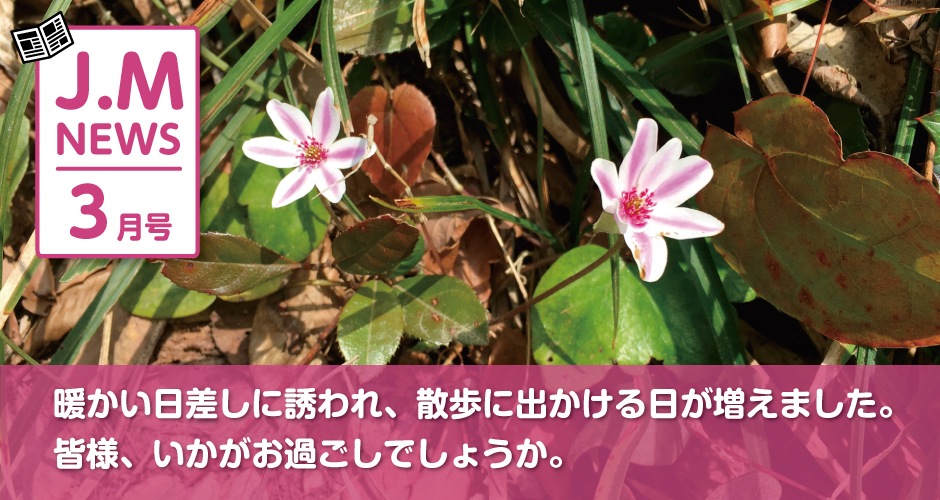 2023年3月