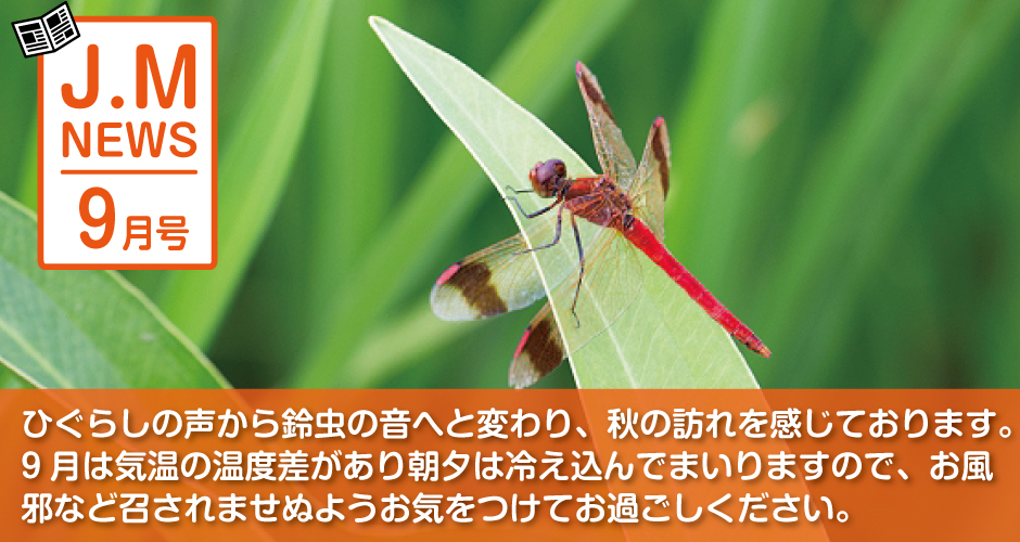 news（2026.9.03)